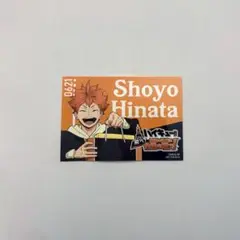 ハイキュー!! 飛べ！最高の景色を全国の頂で！ 日向翔陽 ステッカー