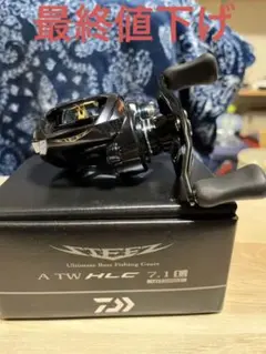 ダイワ(DAIWA) 21 スティーズ A TW HLC 7.1L