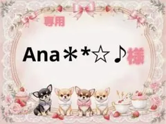 専用