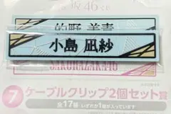 Item thumbnail for item 91513c5a-0d6b-43ac-a3aa-8f918fc15978