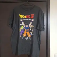 Item thumbnail for item b0a7f5a6-9b56-4eea-96f9-6fd5ea685748