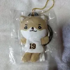 ジャイアンツ菅野智之マスコット