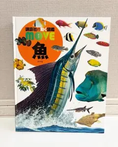 【美品】move 魚