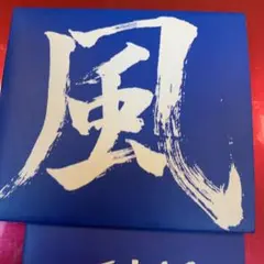 向い風　向風　パンク　CD 風