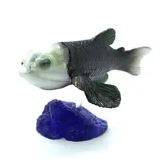 海洋堂　水族館限定　深海生物　DEEP SEA LIFE デメニギス