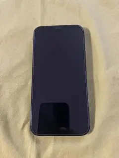 ！美品！iPhone12 Proパシフィックブルー256GB シムロック解除済み