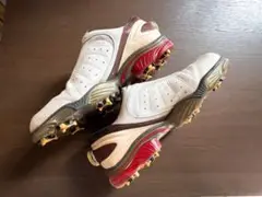 送料無料 フットジョイFOOTJOY ゴルフシューズ 27.0cm 53254J