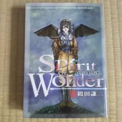 Spirit of Wonder