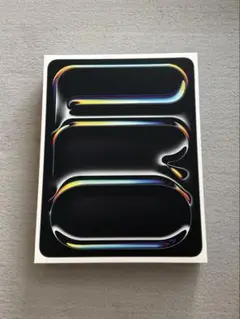 13インチiPad Pro（M4）Wi-Fi+Cellular 512GB