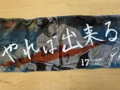 清水 17 応援タオル