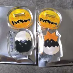 ヒナタマゴ　カゲタマゴ