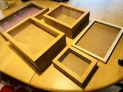 標本ケース