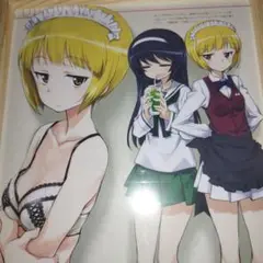 ガールズ&パンツァー カトラス B5サイズ 額装
