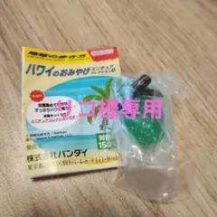 【専用出品】ハワイのおみやげミニチュアコレクション2