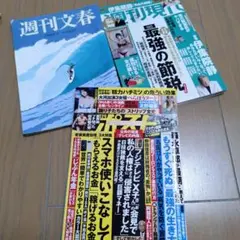週刊現代　週刊ポスト　週刊文春　セット