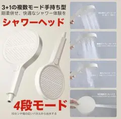 Item thumbnail for item ba2968ff-7794-43f0-8ff5-186a5c005a2a