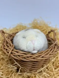 Item thumbnail for item f6a8904d-8397-4325-9272-e33040d597f3