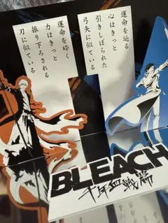 BLEACH
