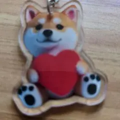 新品未使用の可愛い柴犬 ハート アクリルキーホルダー