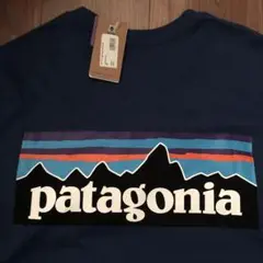 新品、未着用　patagonia 青 Tシャツ バックプリント