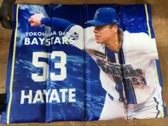 ベイスターズスタジアムシートクッション颯