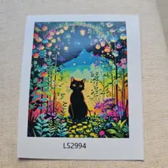 377ー黒猫ペイントバイナンバー　数字絵　ぬり絵　絵の具　アート