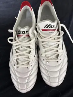 MIZUNO モレリアNeo4 25.5