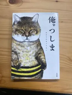 俺つしま