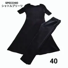 SPECCHIO スペッチオ シャトルプリーツ 半袖 ワンピース＆細パンツセット