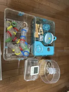 Item thumbnail for item 2a9ee8ae-e1b9-44af-81b5-447496f43eee