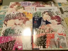 婚約破棄された女は幼なじみにいただかれちゃいました。 全4巻完結セット