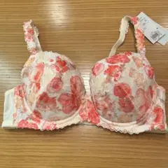 Item thumbnail for item f5f4f013-b539-4399-a864-a0467ee68712