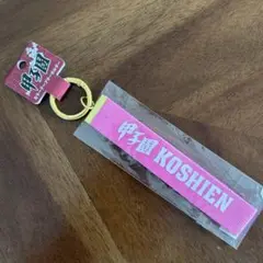 阪神甲子園球場 カラーテープキーホルダー　ピンク