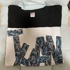 BLUE ENCOUNT Tシャツ　2枚セット
