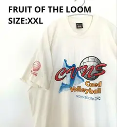 90s シングルステッチ フルーツオブザルーム Tシャツ XXL メンズ
