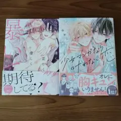 清く正しく優しく暴いて＆少女漫画なら叶わない恋　２冊セット