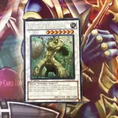 遊戯王　ナチュルランドオルス　英語　シク