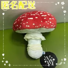 毒展　ツキヨタケ　ぬいぐるみ（匿名配送） 2025年最新】毒展 ぬいぐるみの人気アイテム - メルカリ
