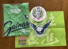 ガイナーレ鳥取ベースボールシャツ うちわ 応援グッズ