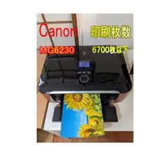 【動作確認済】Canon カラープリンター　MG6230　　送料無料
