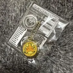ポケモンメタルエンブレムデデンネ