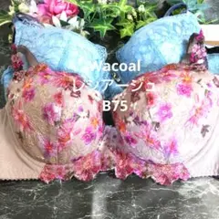B75ワコール♥レシアージュ　素敵なブラジャー　２枚セット
