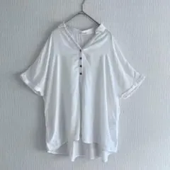 avv 半袖 ブラウス ヘンリーネック シャツ S 涼感 レーヨン ゆったり