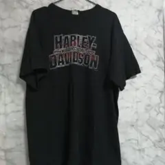 Harley-Davidson Tシャツ ロゴ入り