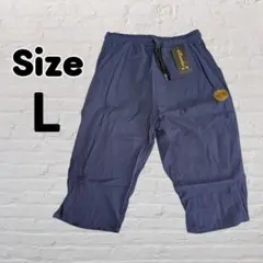 Item thumbnail for item c40bbc8f-edd6-4531-ada2-669567d1525d