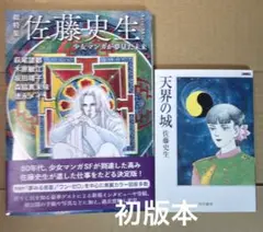 総特集佐藤史生 : 少女マンガが夢見た未来➕天界の城　佐藤史生