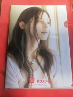 ハウスメイト小西真奈美 クリアファイル