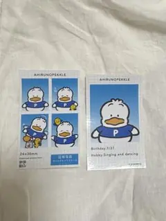 ペックル証明写真