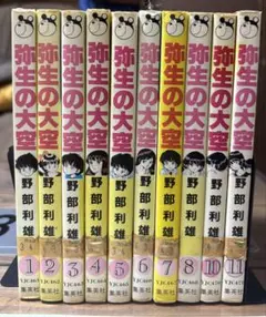 弥生の大空 全10巻セット