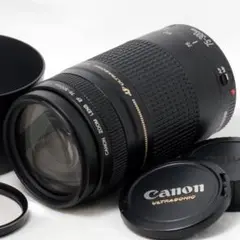 Item thumbnail for item 555c5be9-e905-44e6-a56f-79f6b3d81f7a